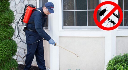Kahta Bit İlaçlama böcek ilaçlama ve haşere kontrolü — ilaclama-tr.com